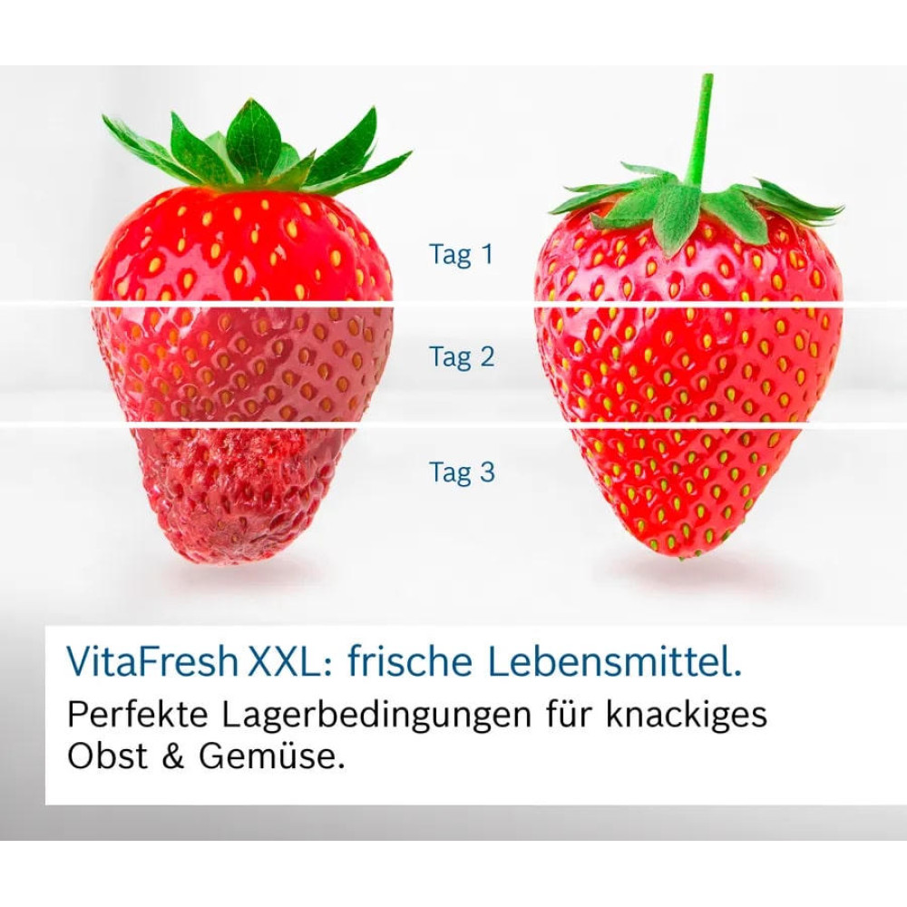 Встраиваемый двухкамерный холодильник Bosch KIN96SFD0